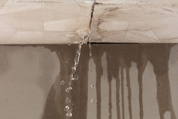Professional Water Damage Inspection technician working in Oviedo, FL